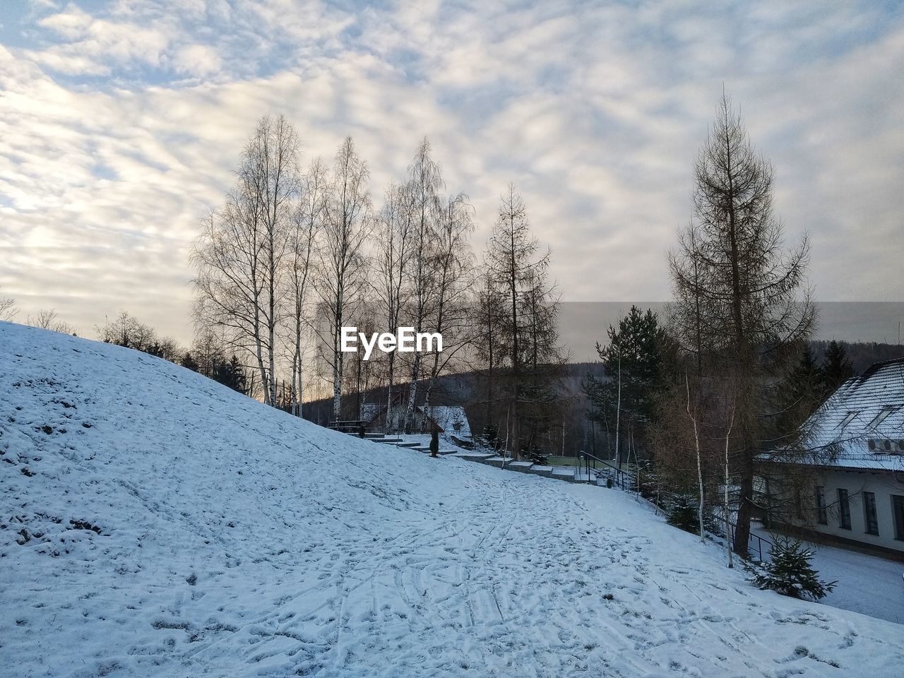 Snow covered bare trees against sky