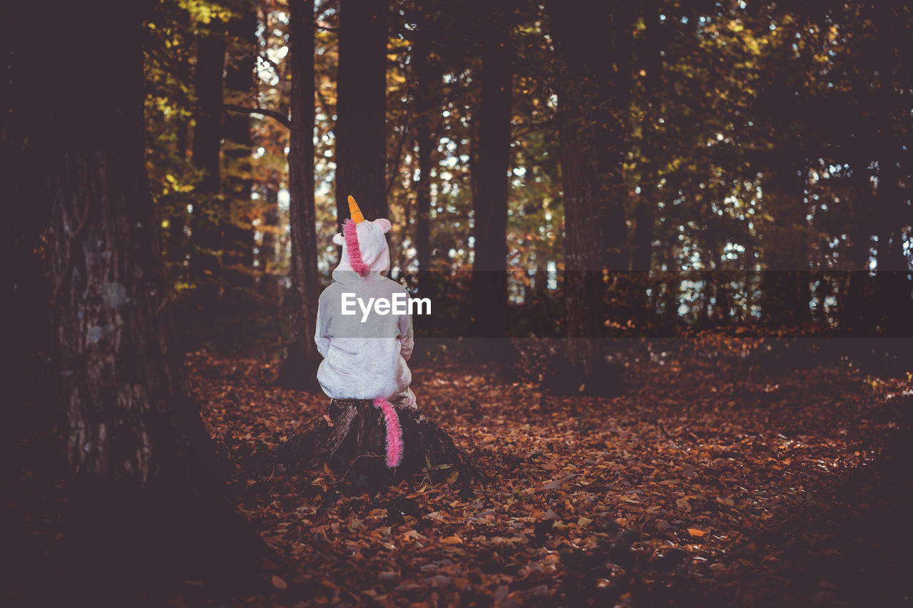 Rear view of woman wearing costume sitting in forest