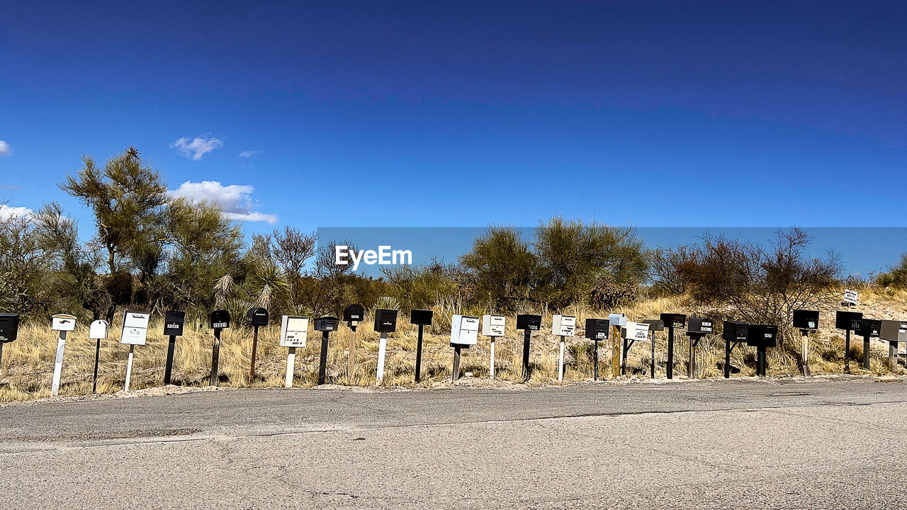 sky, nature, tree, cemetery, death, no people, grave, blue, plant, tombstone, landscape, in a row, day, memorial, history, the past, stone, outdoors, military, ancient history, architecture, sunlight