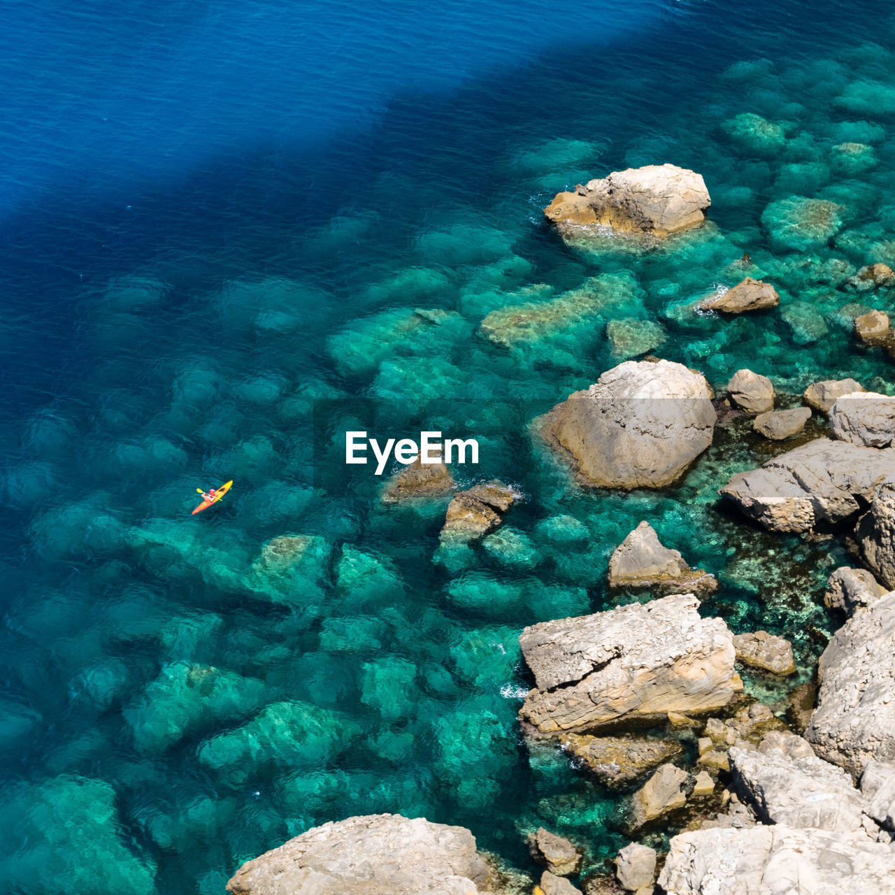 HIGH ANGLE VIEW OF CROCODILE SWIMMING IN SEA
