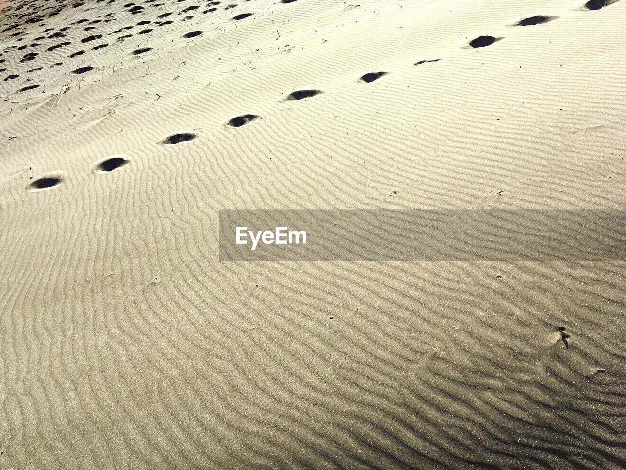 FULL FRAME SHOT OF SAND DUNES IN DESERT