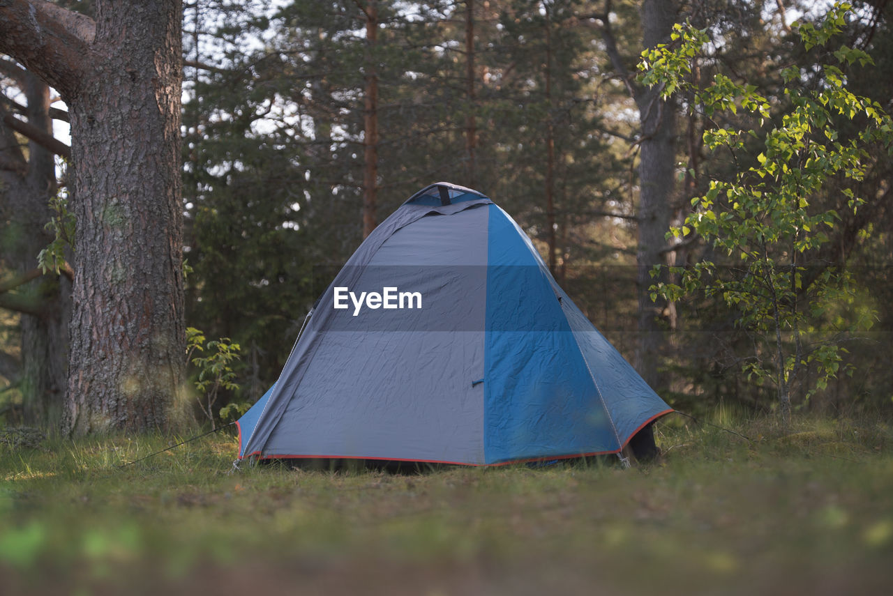 A tent in a beautiful picturesque summer forest. hiking theme.