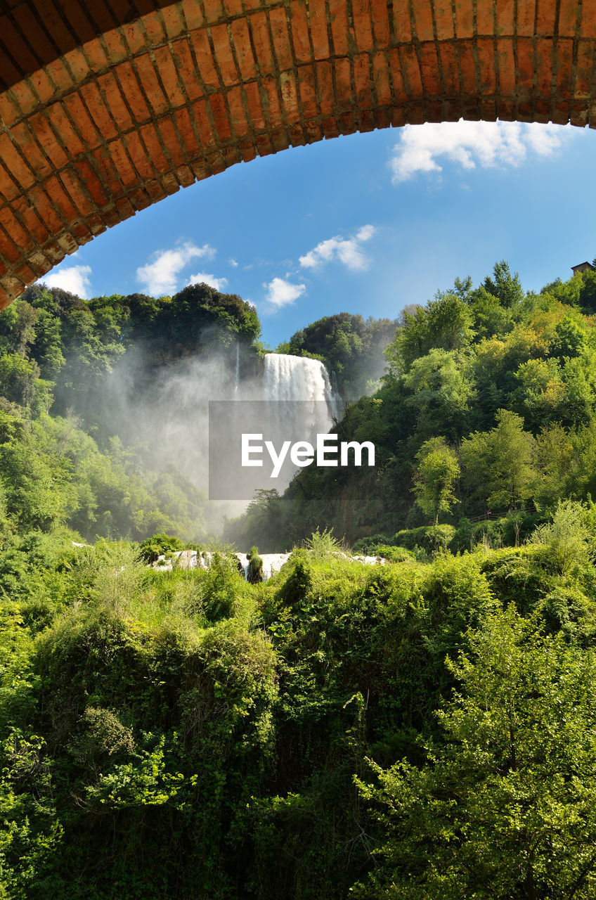 Scenic view of waterfall in forest