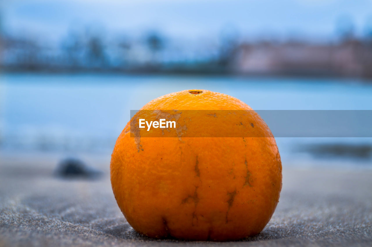 Close-up of orange fruit on beach