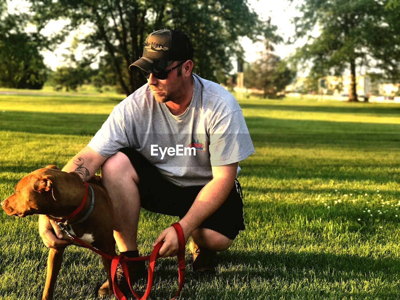 Man stroking dog while crouching on field