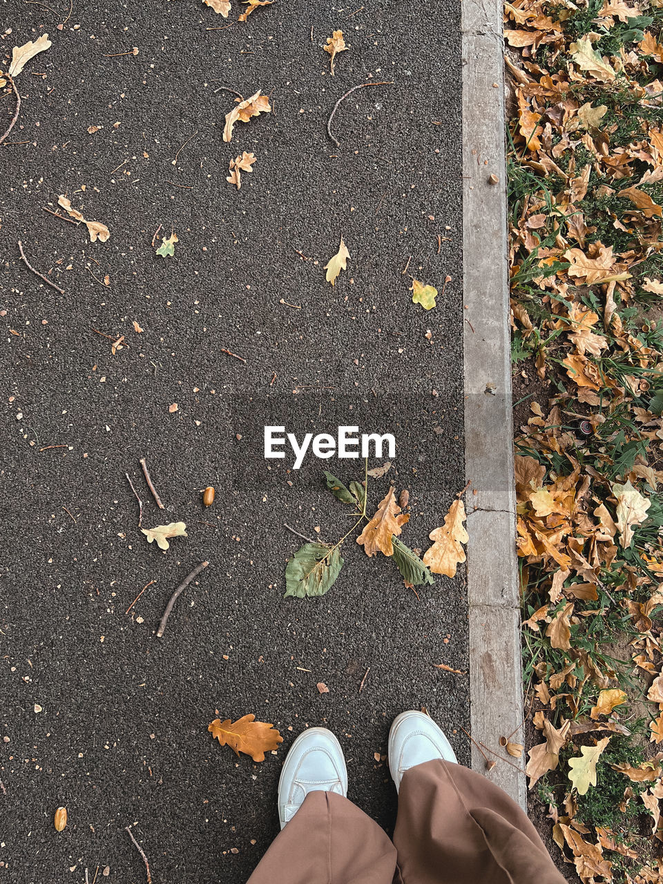 Low section of person standing on road