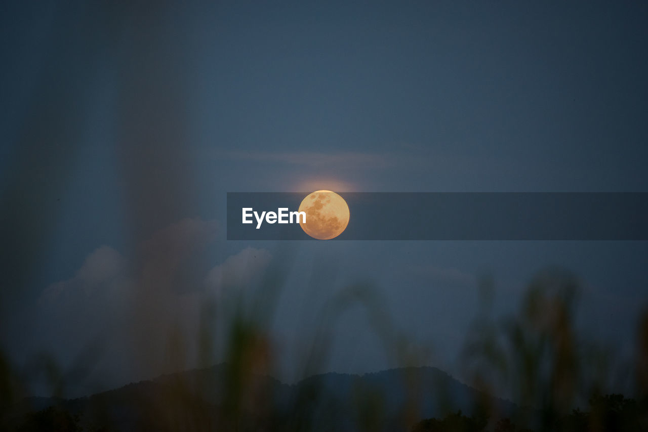 LOW ANGLE VIEW OF MOON AGAINST SKY