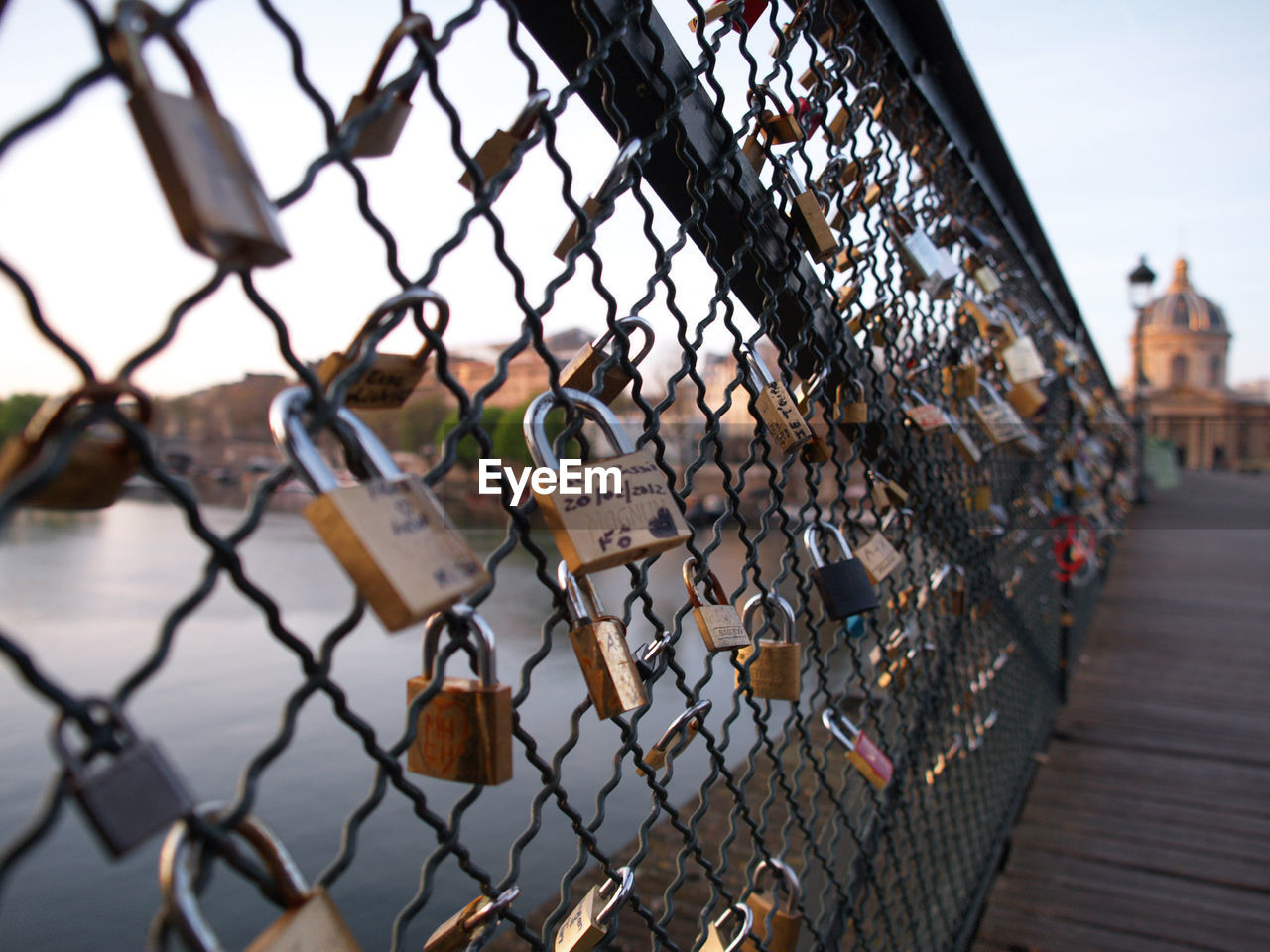 Close-up of padlocks on chainlink fence