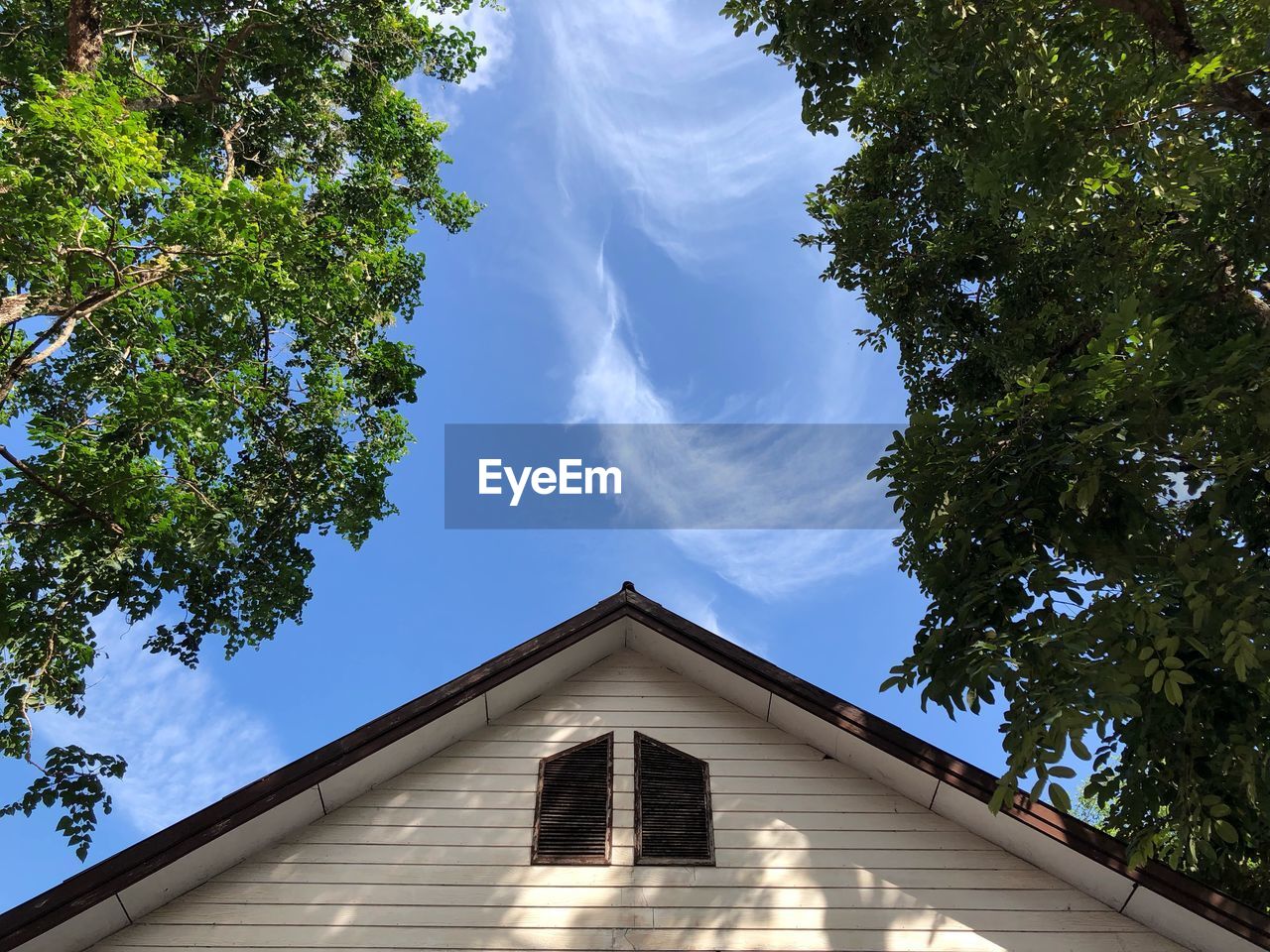 LOW ANGLE VIEW OF TREE AND BUILDING AGAINST SKY