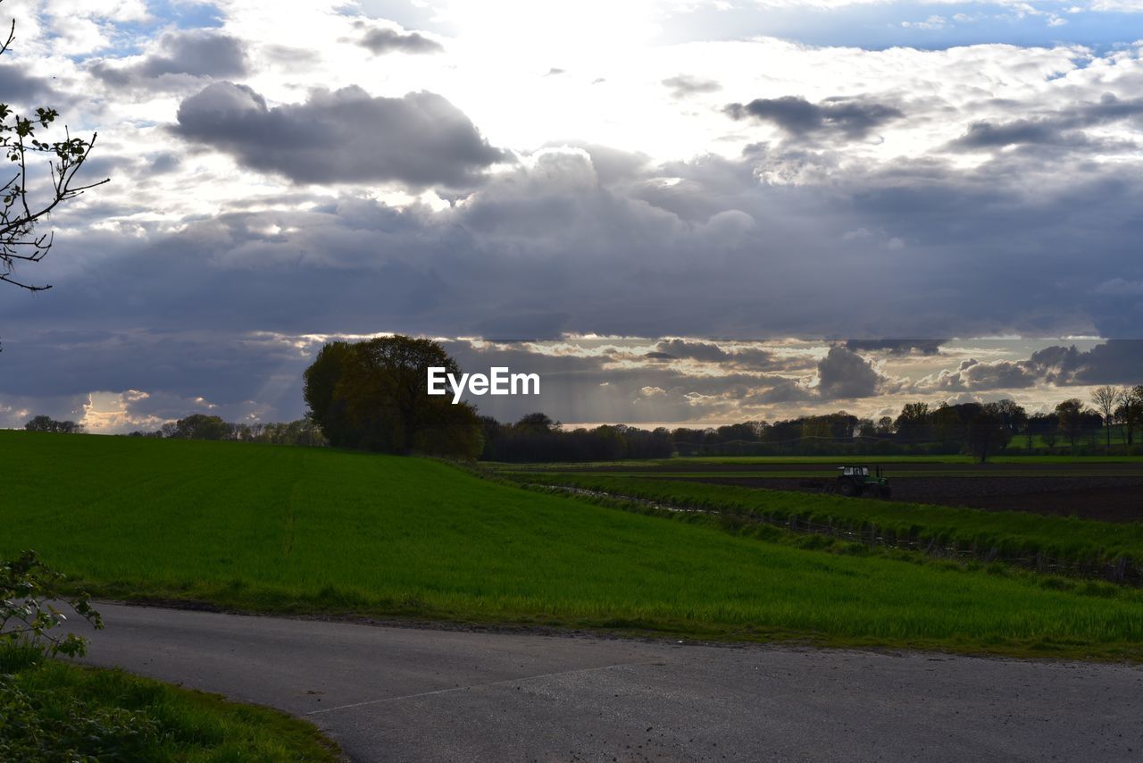 SCENIC VIEW OF GRASSY FIELD AGAINST SKY