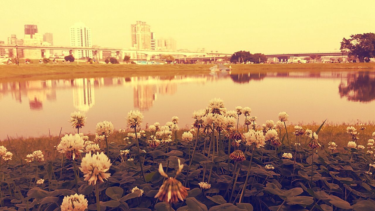 REFLECTION OF CITYSCAPE IN LAKE AGAINST SKY