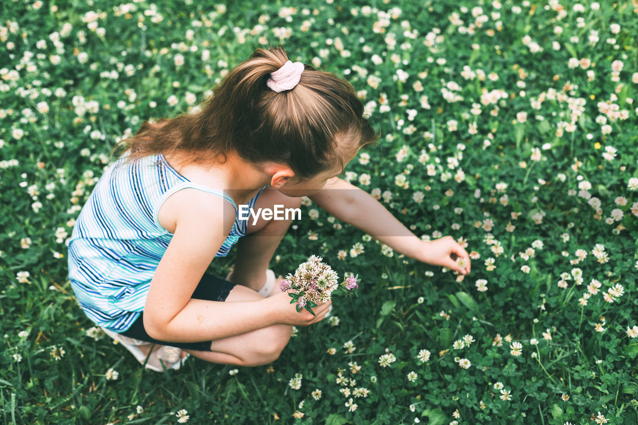 High angle view of girl plucking flowers