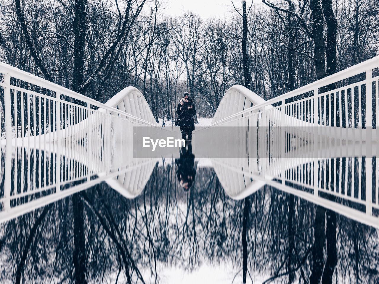 Reflection of trees in water against sky