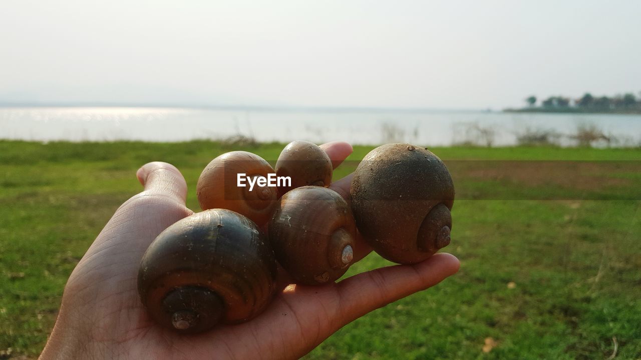 CLOSE-UP OF HAND HOLDING EGGS BY SEA