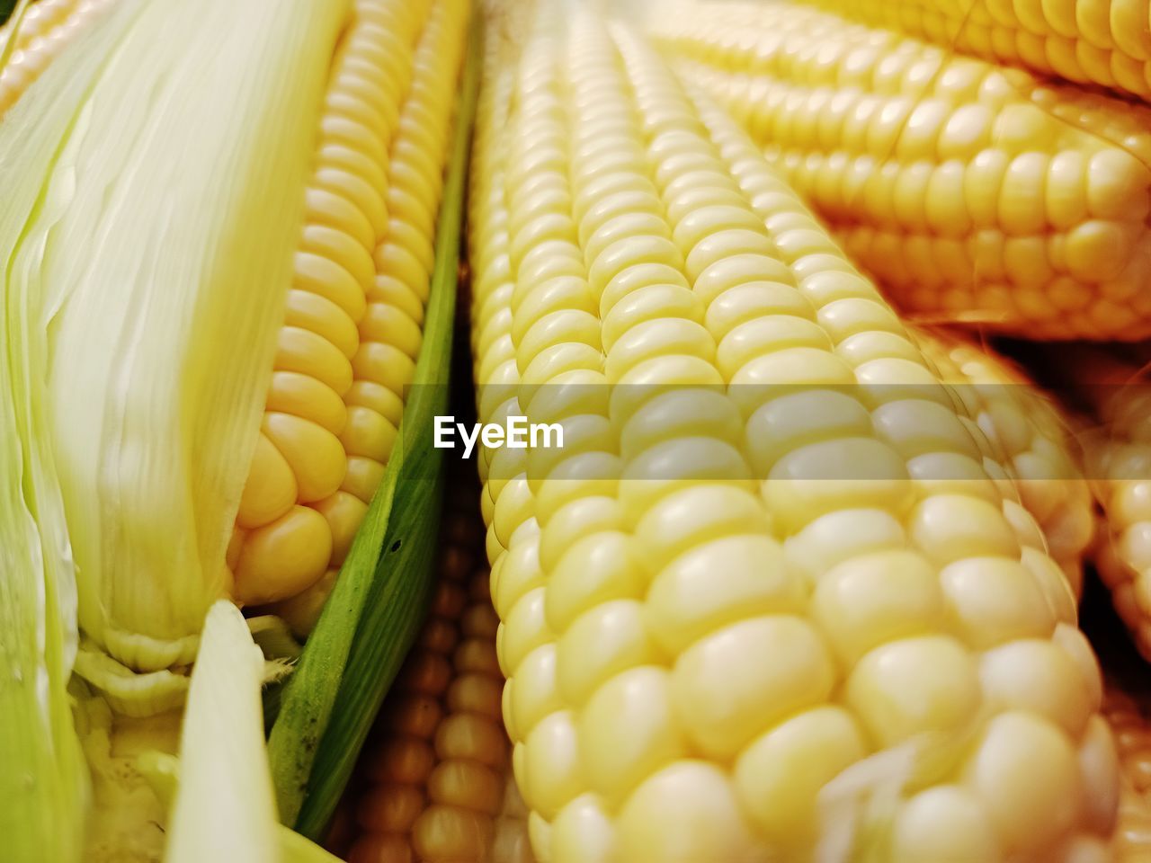 vegetable, food, food and drink, corn, sweet corn, corn kernels, dish, healthy eating, freshness, wellbeing, close-up, no people, yellow, agriculture, crop, vegetarian food, cuisine, raw food, produce, cereal plant, market, food grain, retail, indoors