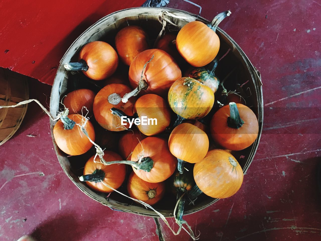 Directly above shot of pumpkins in container on table