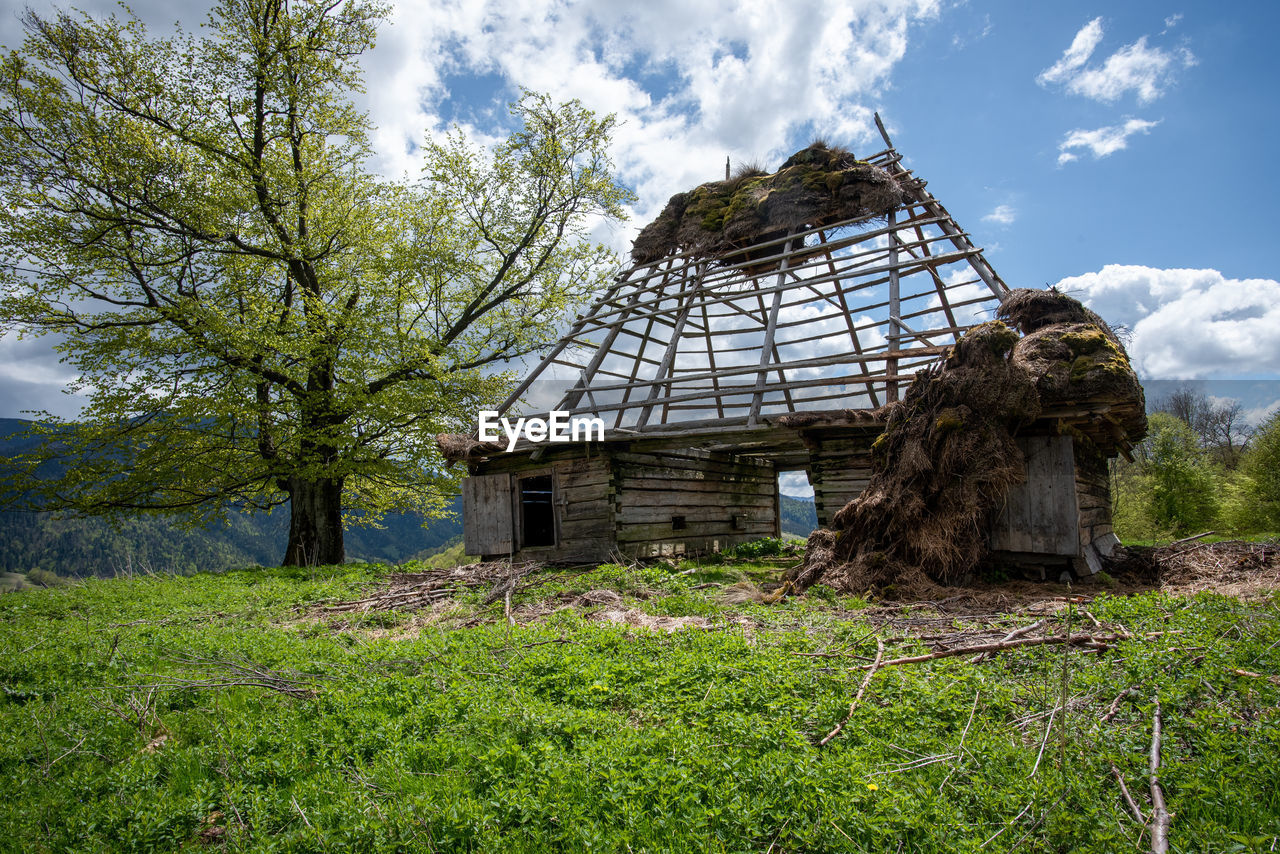 ABANDONED HOUSE ON FIELD BY TREES AGAINST SKY