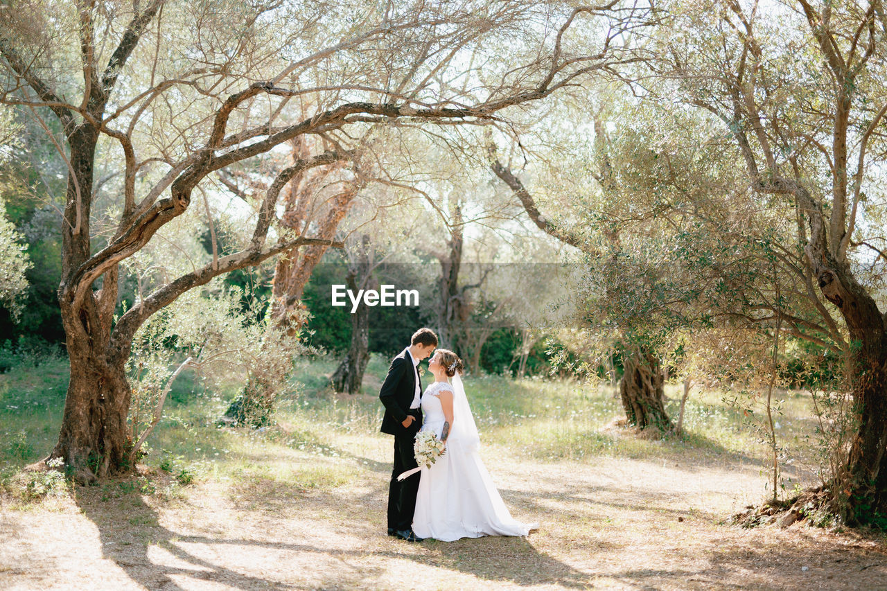 Young couple standing by tree in forest