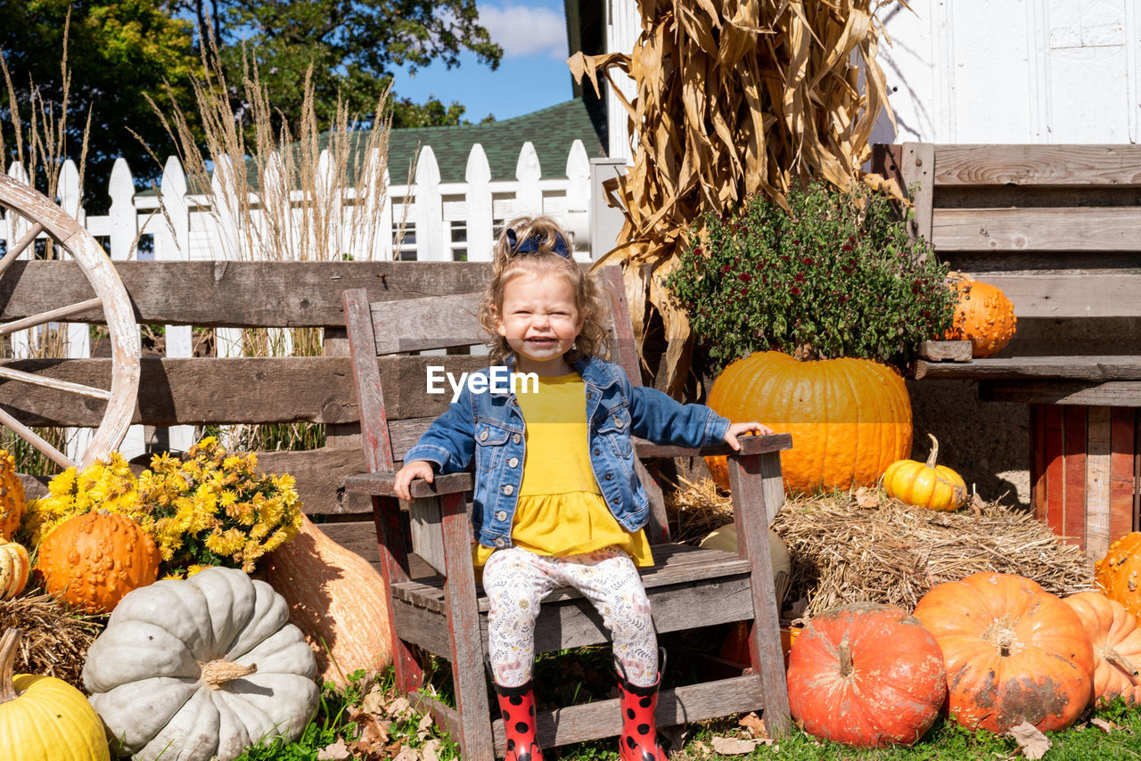 Portrait of smiling girl sitting on chair by pumpkins