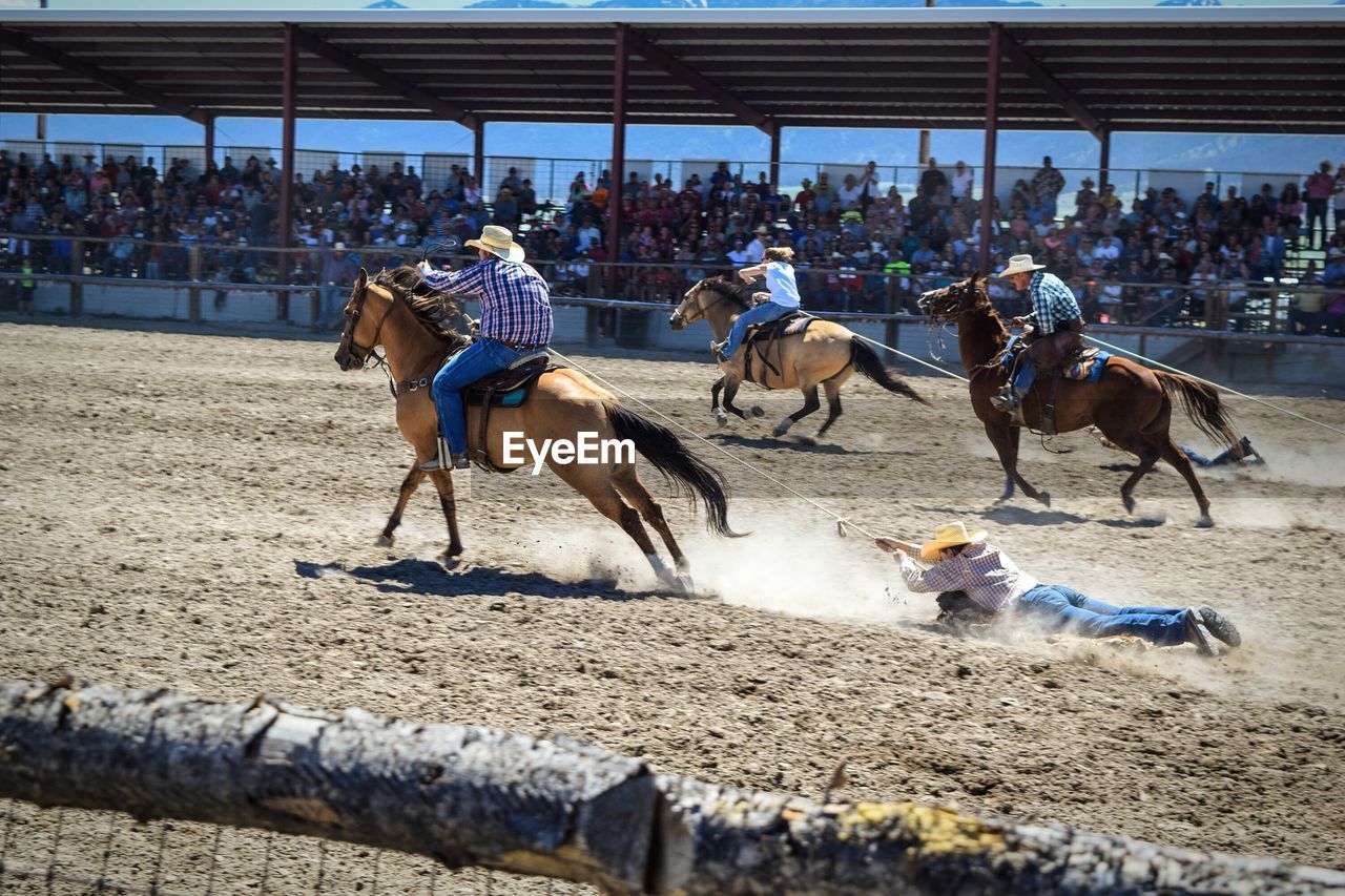 People riding horses in stadium