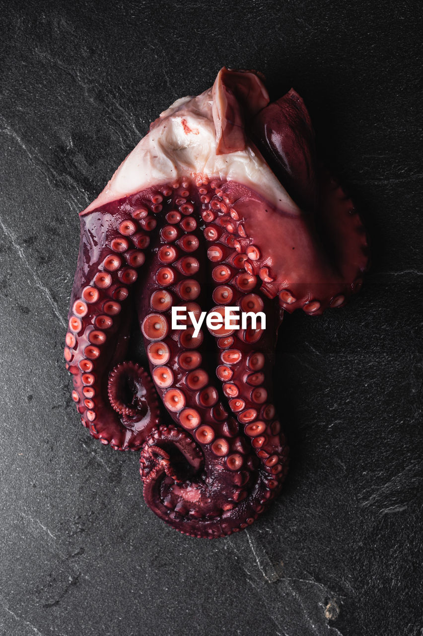 High angle closeup of fresh octopus tentacles with red suckers placed on dark table