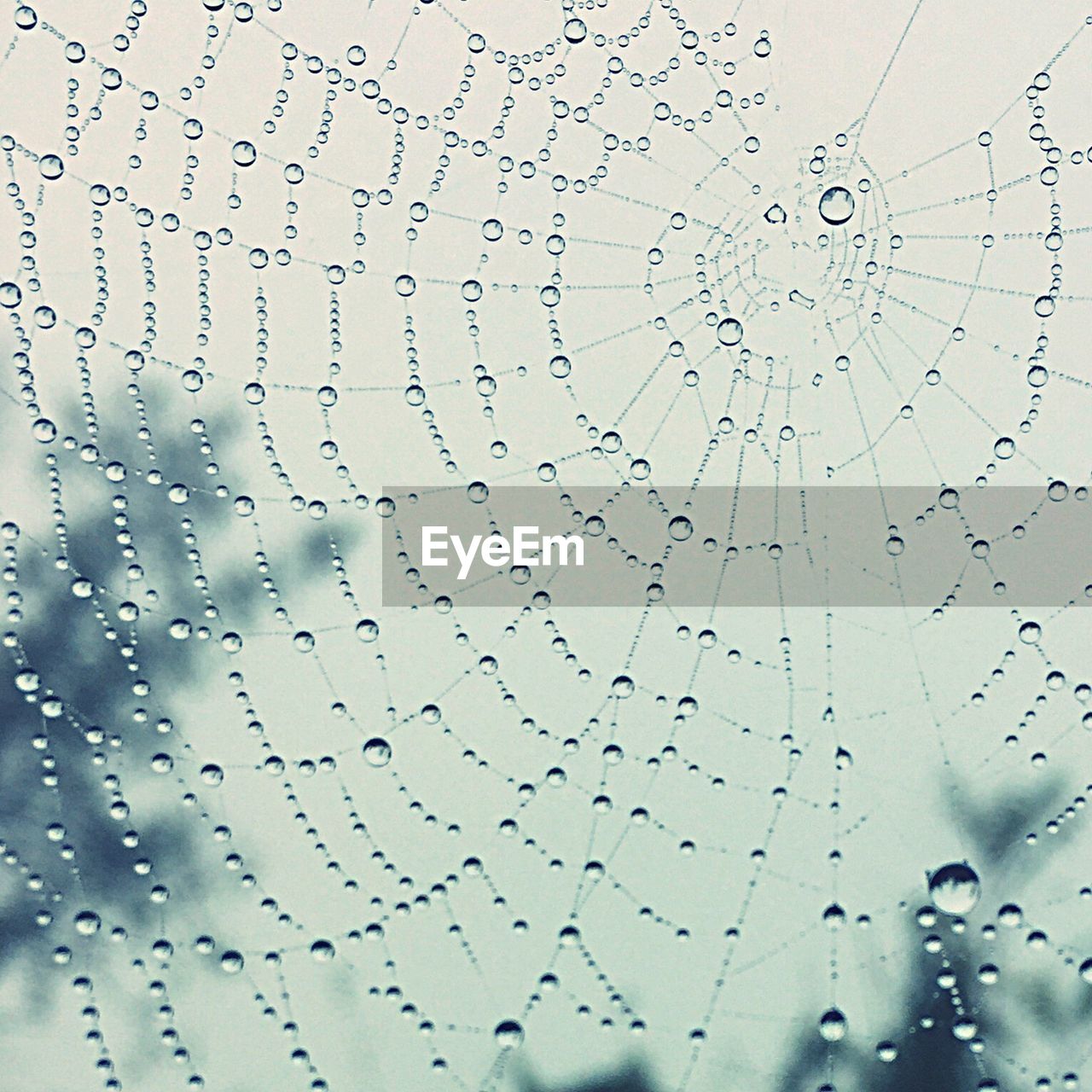 FULL FRAME OF SPIDER WEB AGAINST SKY