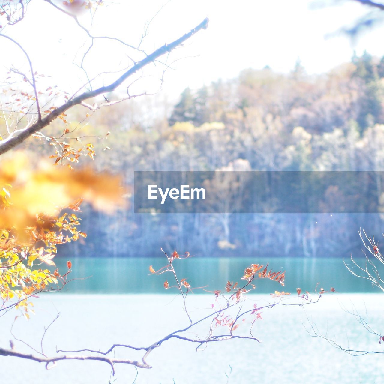 SCENIC VIEW OF FROZEN LAKE AGAINST SKY