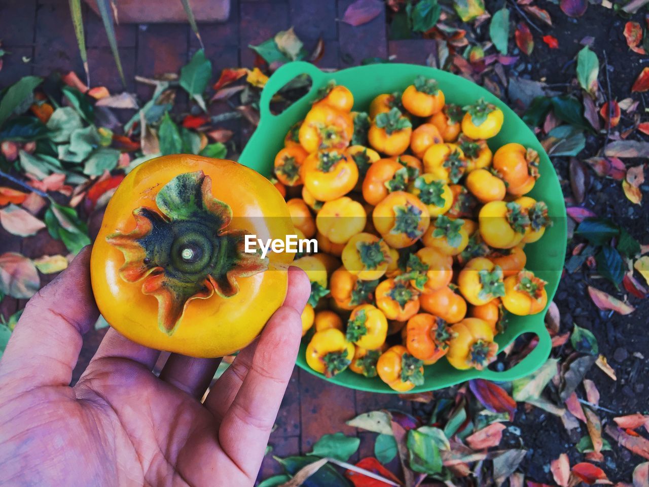 Cropped hand of person holding fresh persimmon over full basket