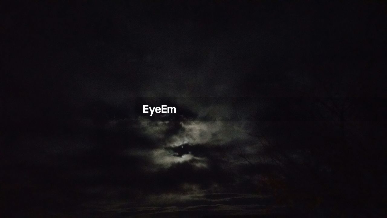 LOW ANGLE VIEW OF TREES AGAINST SKY