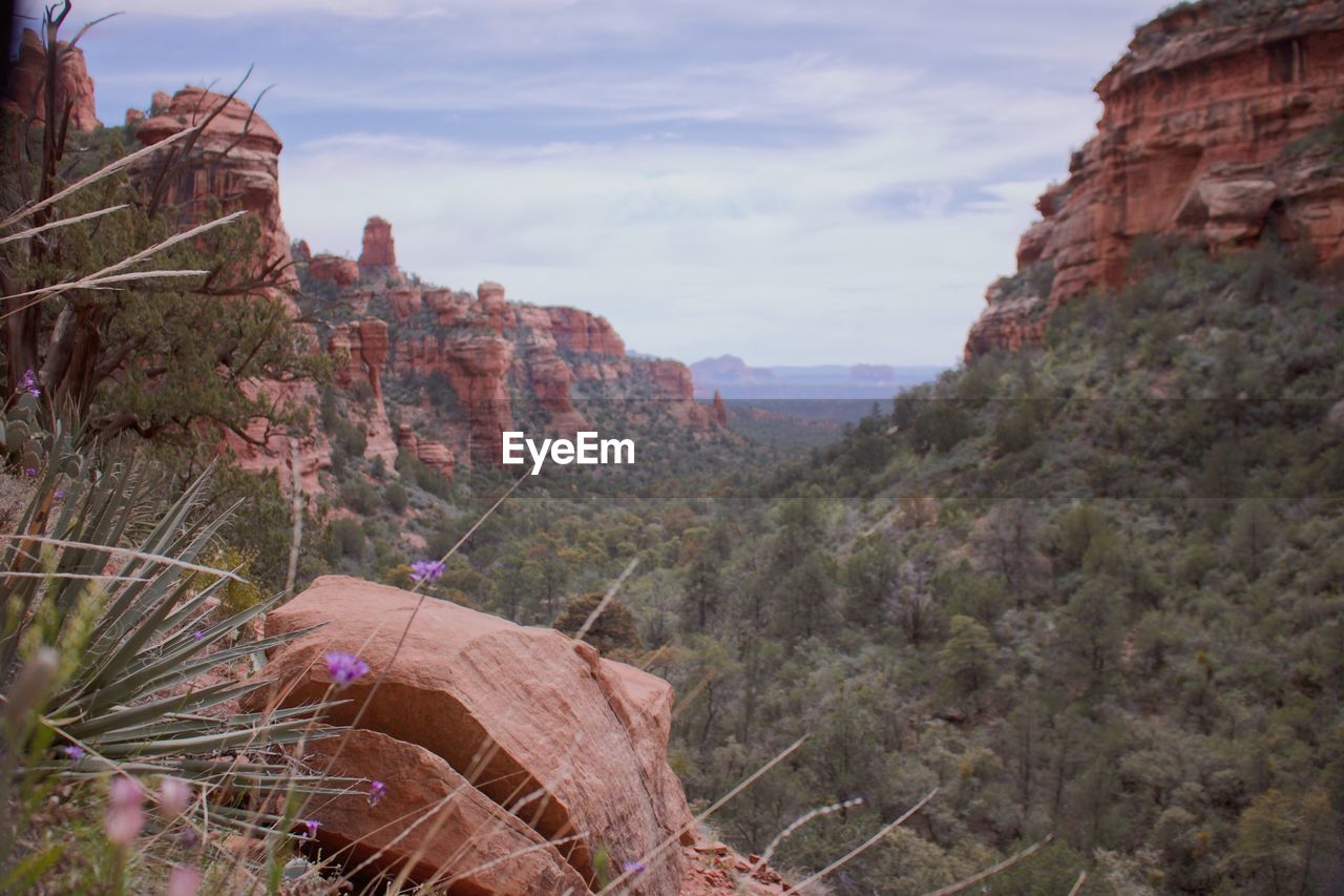 Panoramic view of trees and mountains against sky