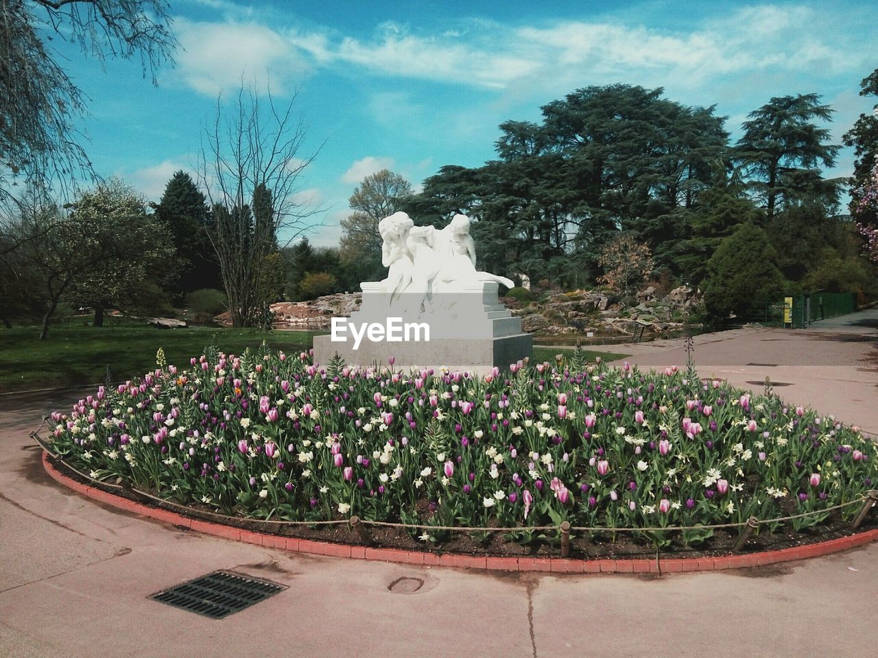 STATUE AMIDST TREES IN PARK