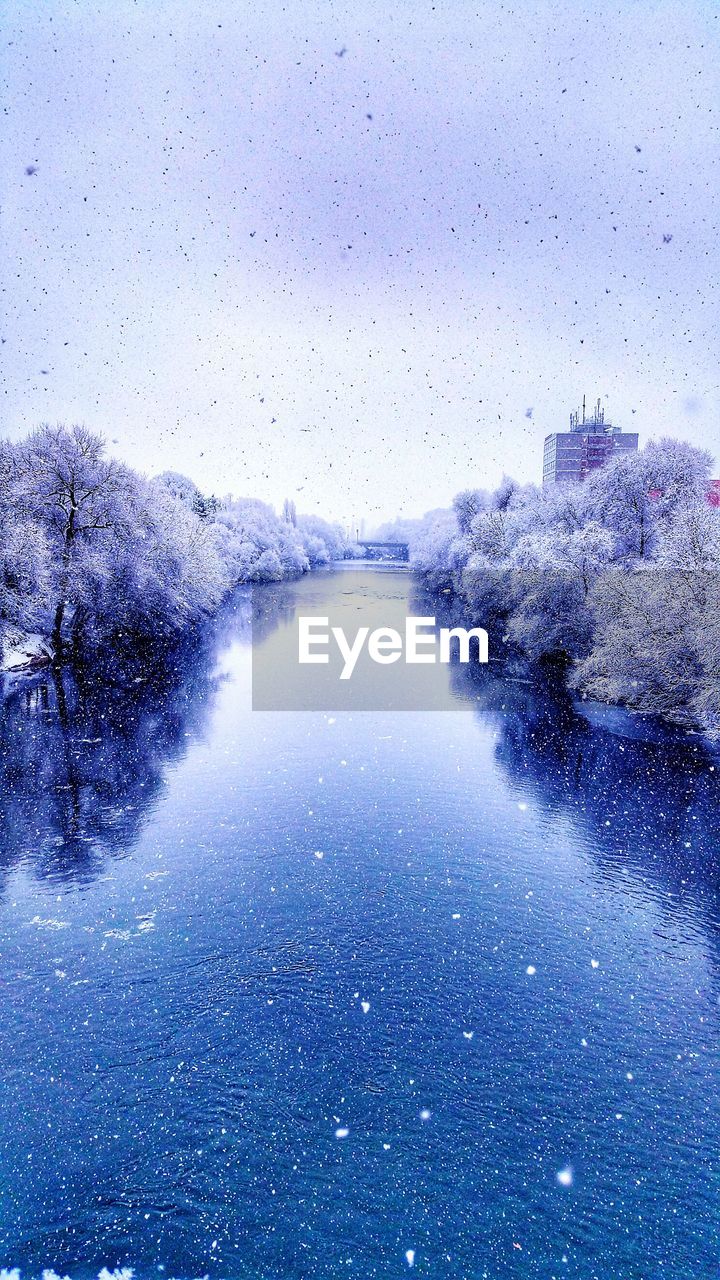 CLOSE-UP OF TREES AGAINST SKY IN WATER