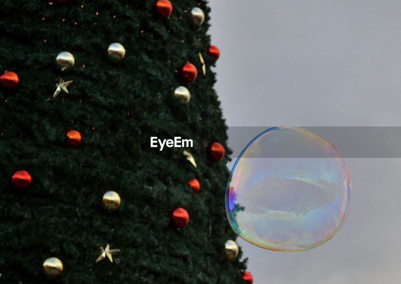CLOSE-UP OF CHRISTMAS DECORATIONS ON TREE