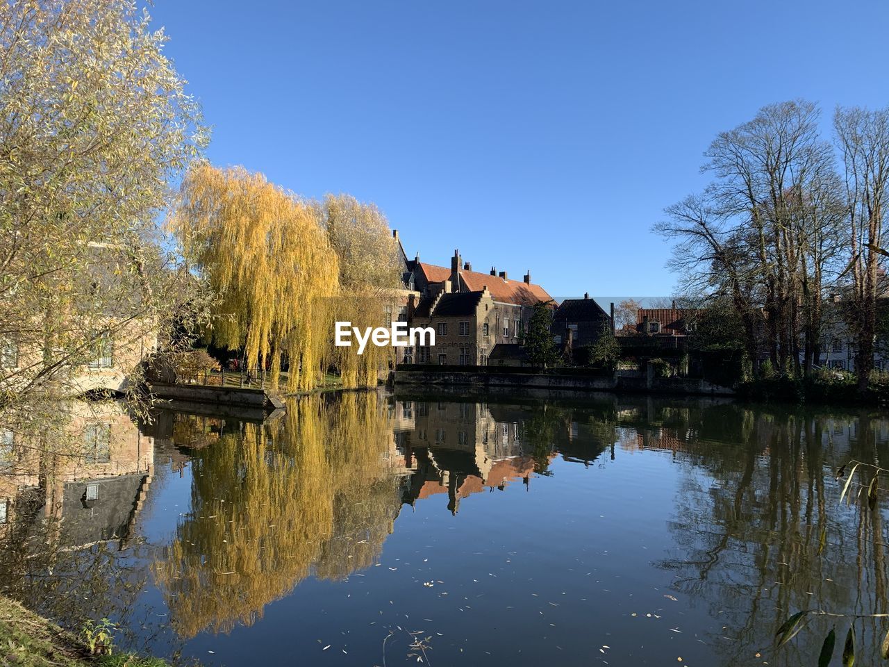 REFLECTION OF TREES AND BUILDINGS ON LAKE