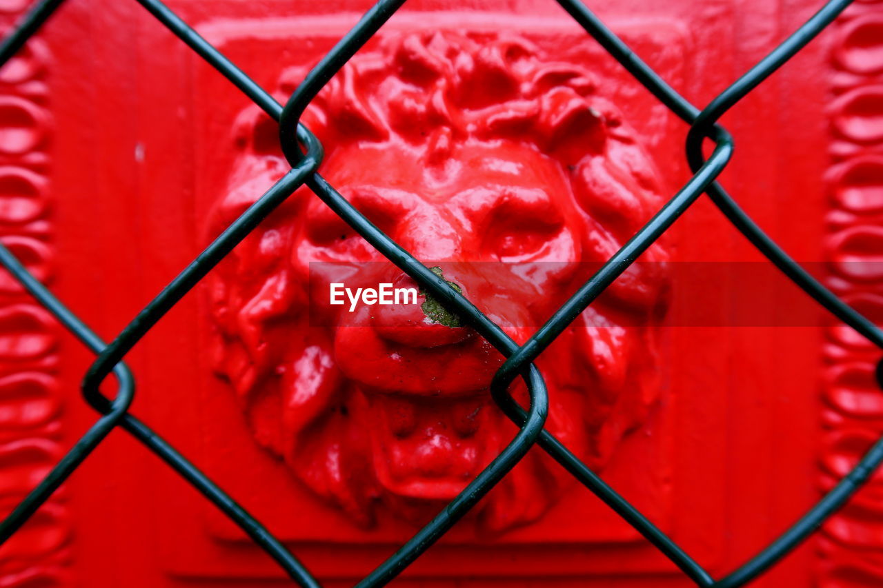 Full frame shot of lion behind chainlink fence