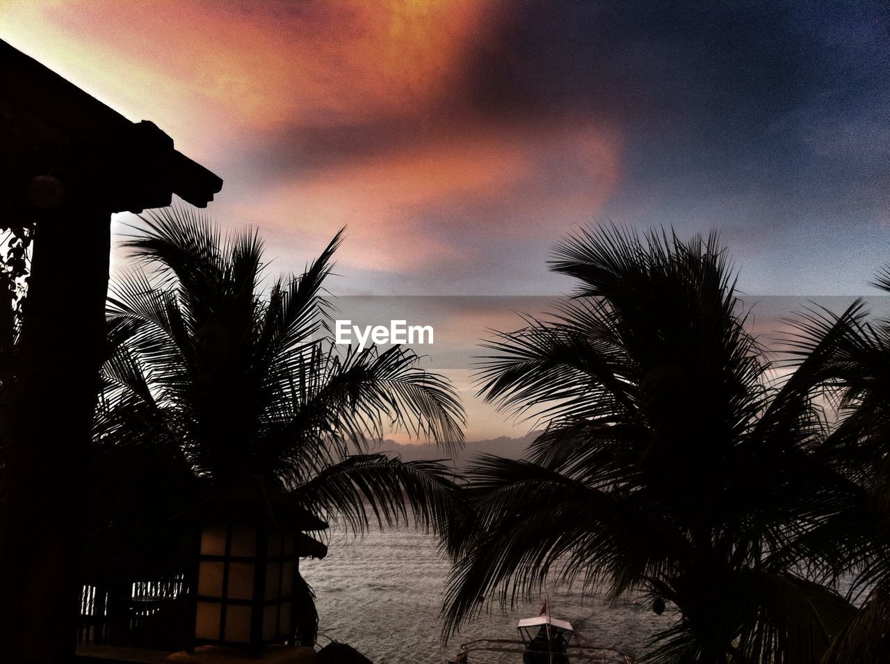 PALM TREES AGAINST CLOUDY SKY