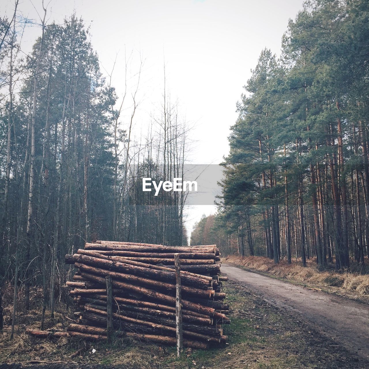 WOODEN STRUCTURE AGAINST SKY