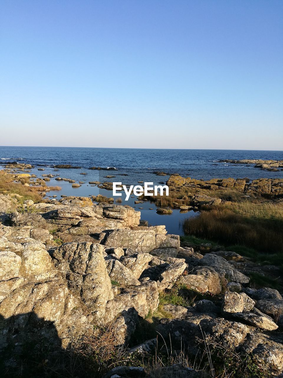 SCENIC VIEW OF BEACH AGAINST CLEAR BLUE SKY