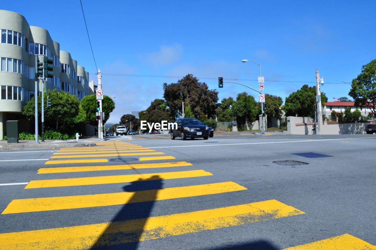 Zebra crossing on road in city