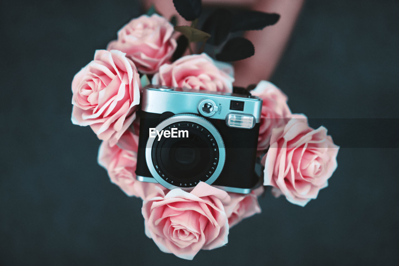 Close-up of camera on pink roses