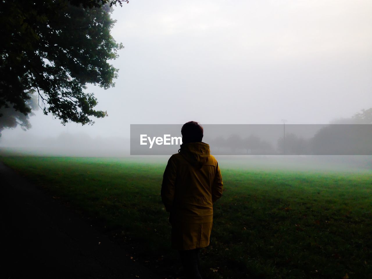Rear view of person standing on grassy field during foggy weather