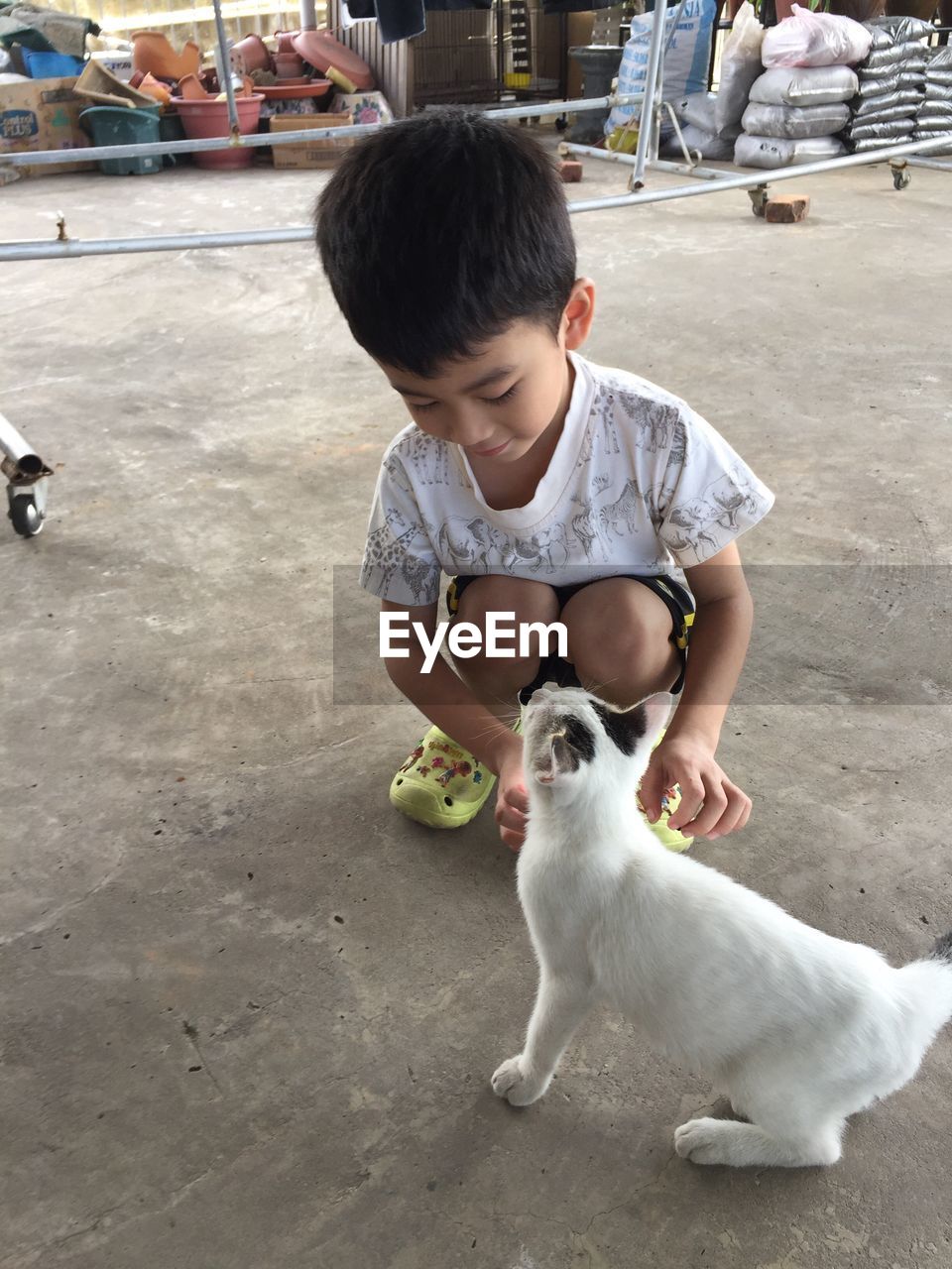 Smiling boy playing with cat on footpath