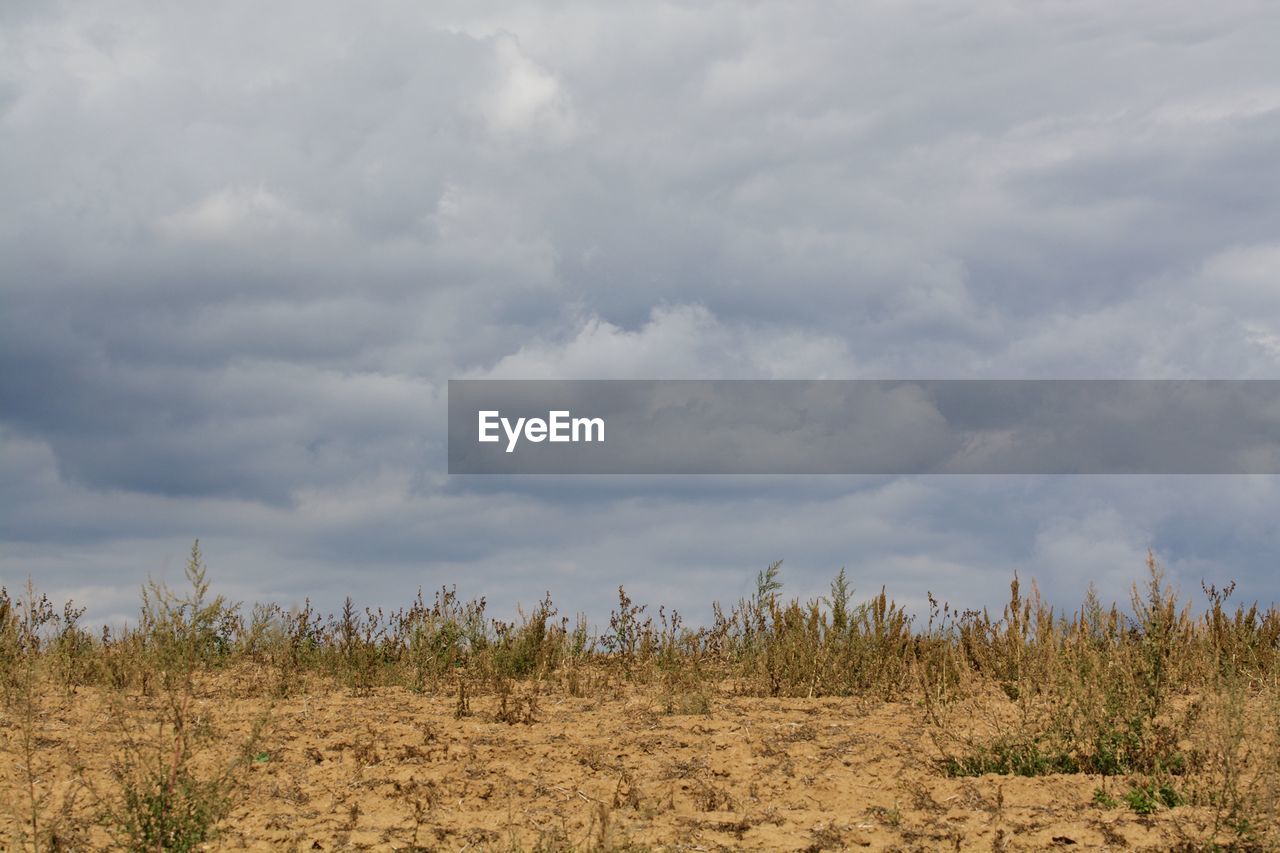 VIEW OF FIELD AGAINST CLOUDY SKY