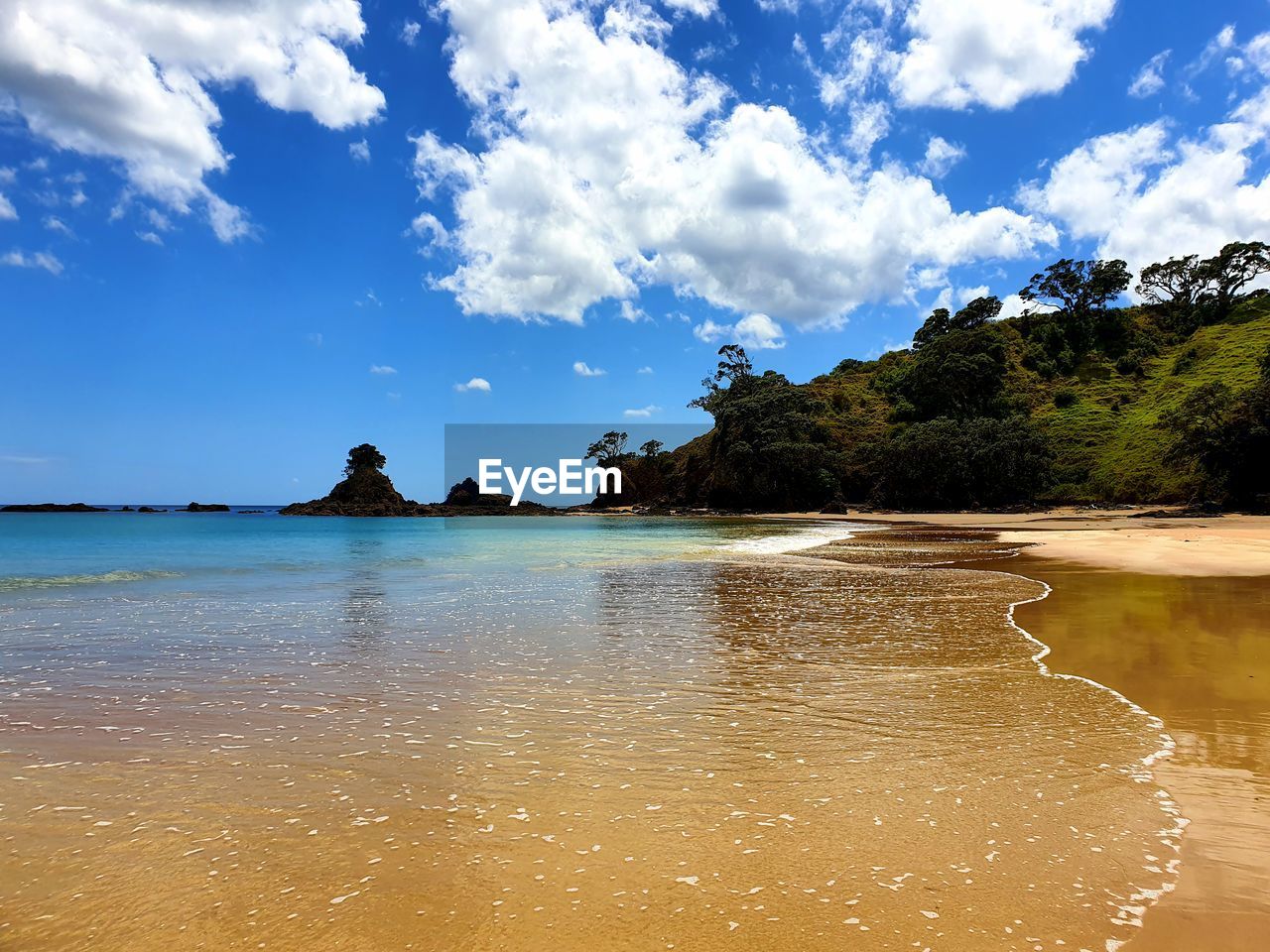 Scenic view of beach against sky