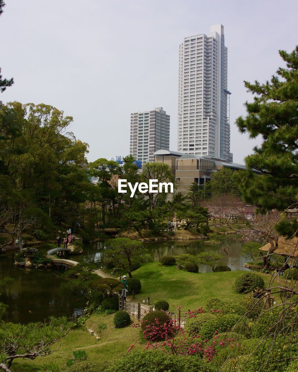 TREES IN PARK AGAINST BUILDINGS IN CITY