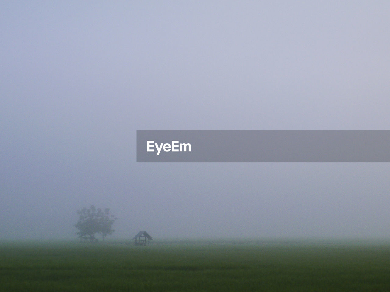 Scenic view of grassy landscape against sky during foggy weather