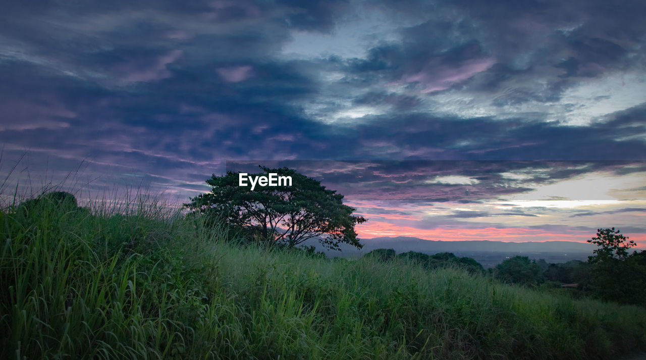 SCENIC VIEW OF LAND AGAINST SKY DURING SUNSET