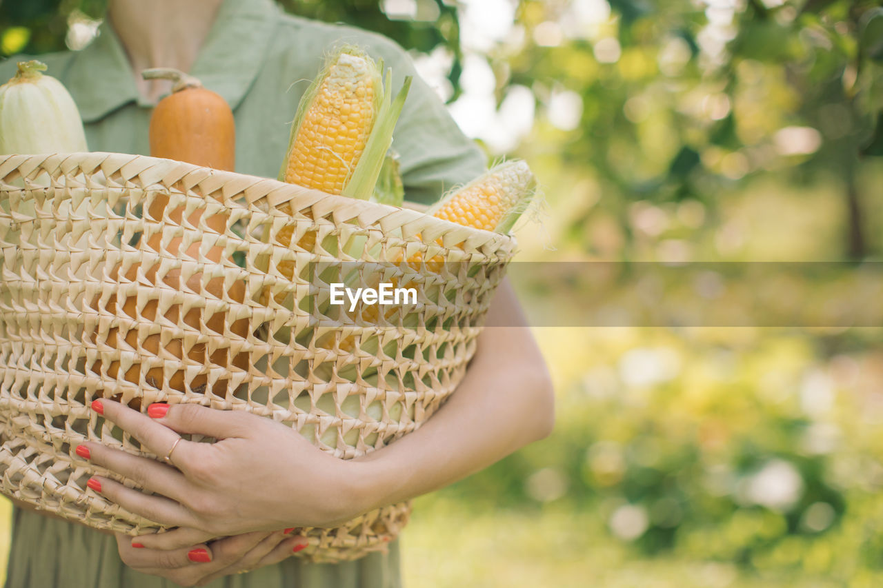 Close-up of woman holding vegetables in basket