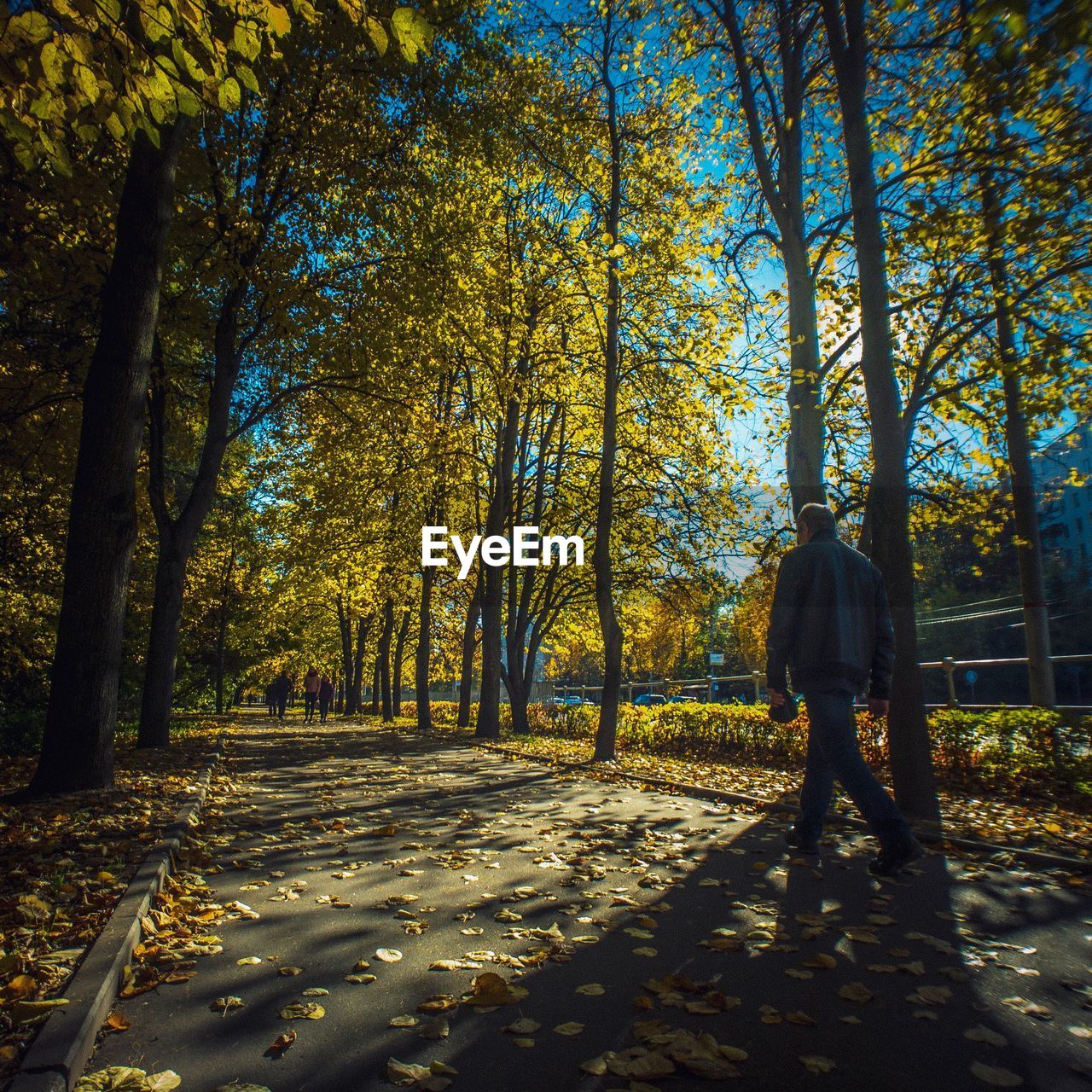 MAN WALKING AMIDST TREES IN FOREST