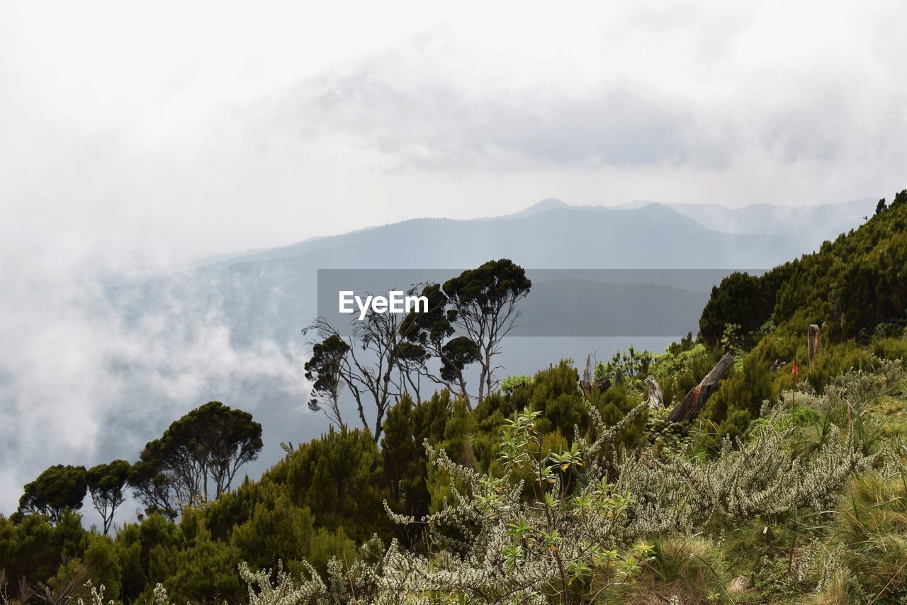 Scenic view of mountains against sky, aberdare ranges, kenya 